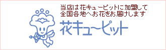 X͉ԃL[sbgɉđSenւԂ͂ł܂