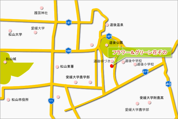 ANZX}bv